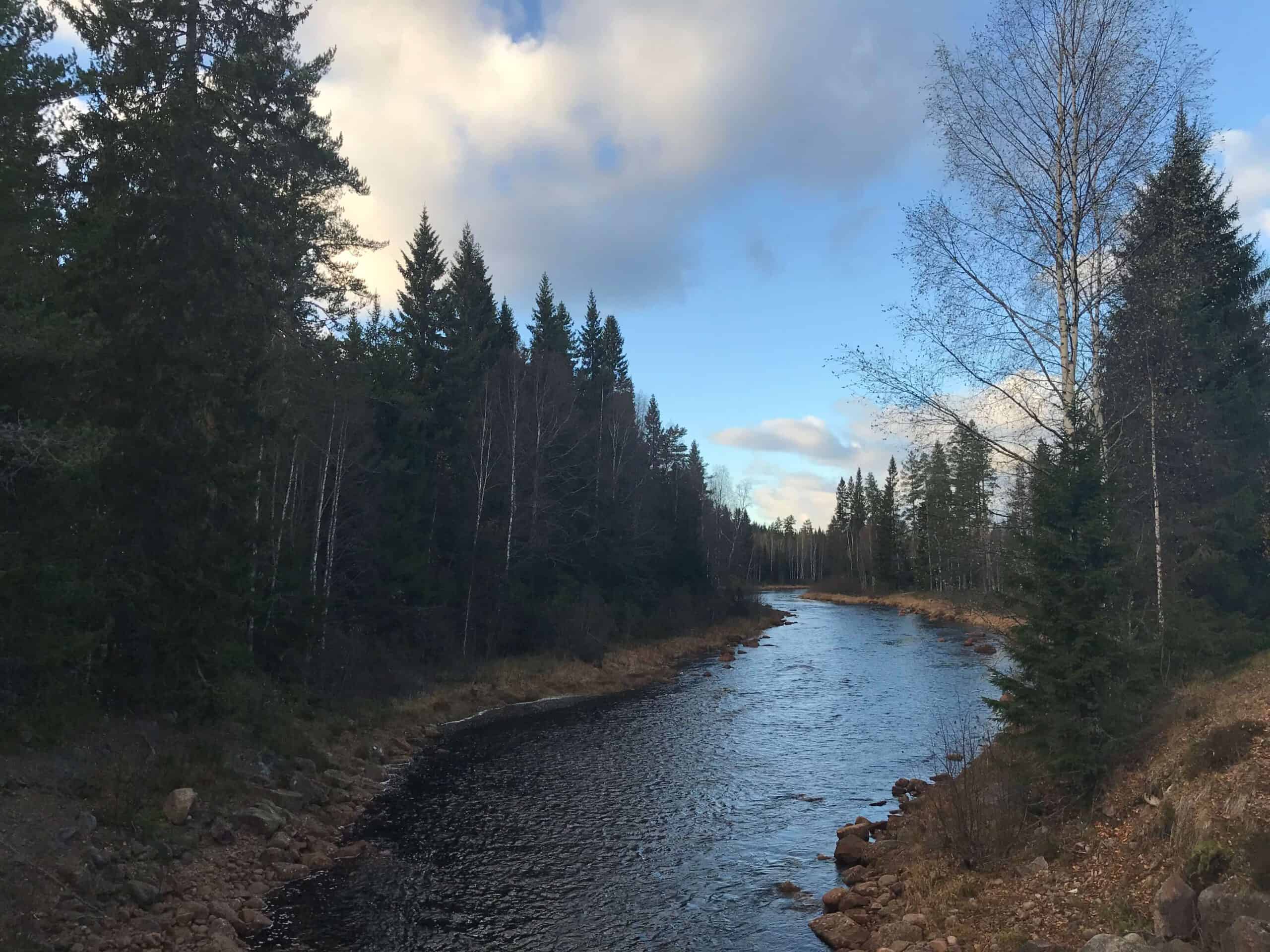 rivier door wildernis